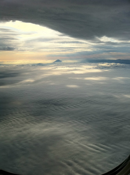 見事な雲海グラデーション
